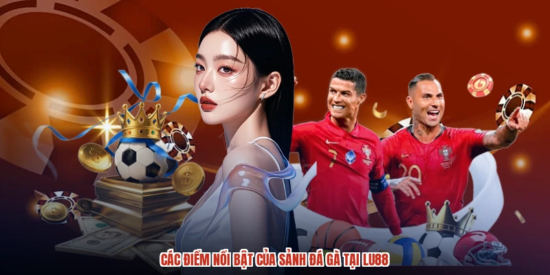 Các điểm nổi bật của sảnh đá gà tại LU88