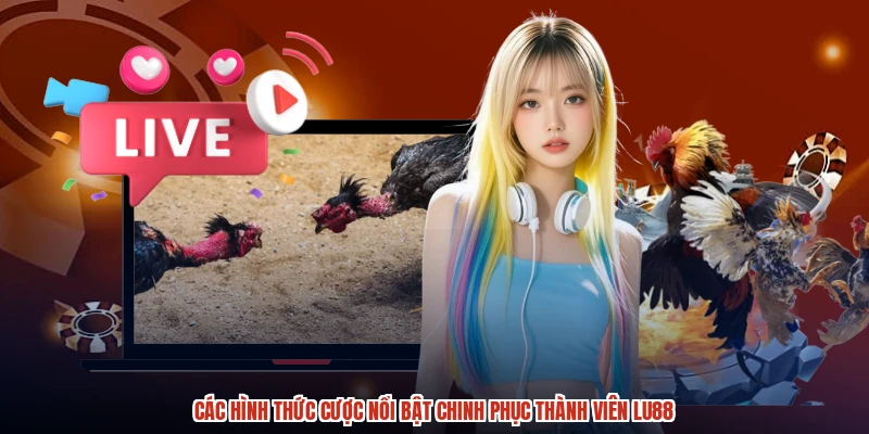 Các hình thức cược nổi bật chinh phục thành viên LU88