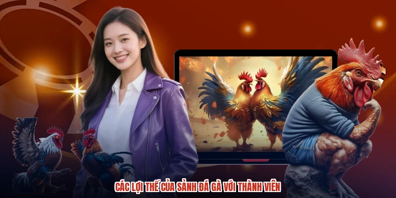 Các lợi thế của sảnh đá gà với thành viên