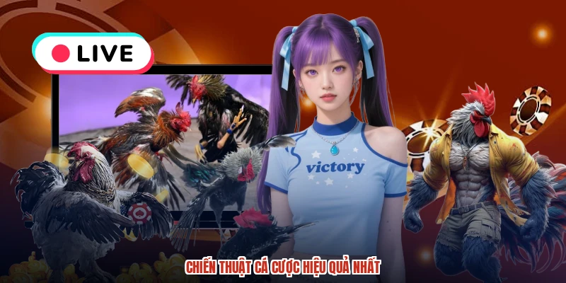 Chiến thuật cá cược hiệu quả nhất