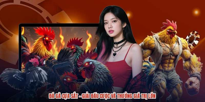 Đá Gà Cựa Sắt - Giải Đấu Cược và Thưởng Giá Trị Lớn
