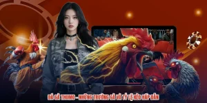 Đá Gà Thomo - Những Trường Gà Và Tỷ Lệ Kèo Hấp Dẫn