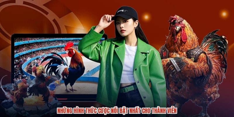 Những hình thức cược nổi bật nhất cho thành viên