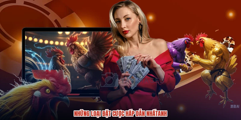 Những loại đặt cược hấp dẫn nhấtanh