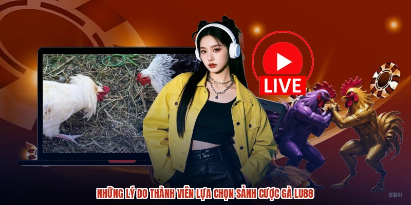 Những lý do thành viên lựa chọn sảnh cược gà LU88