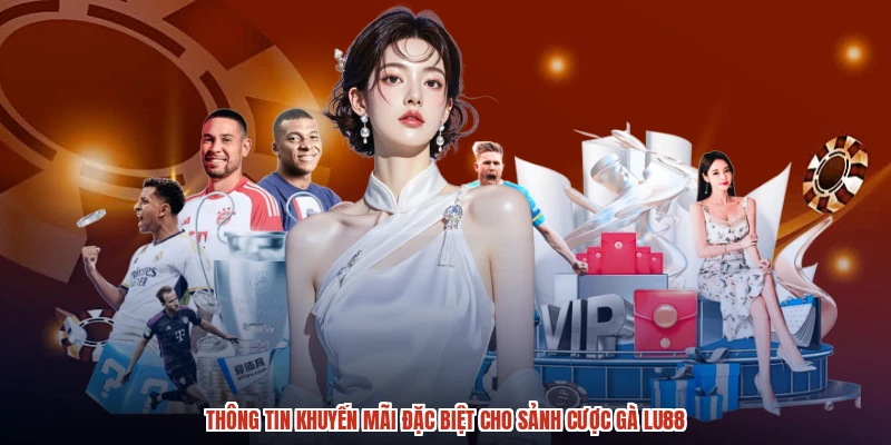Thông tin khuyến mãi đặc biệt cho sảnh cược gà LU88