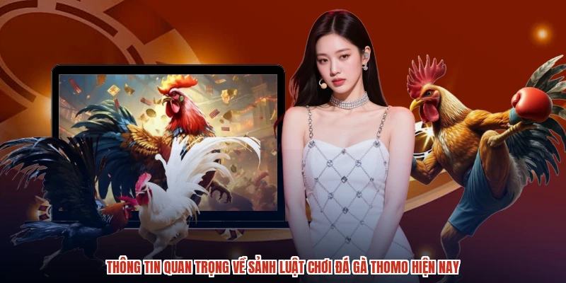 Thông tin quan trọng về sảnh luật chơi đá gà thomo hiện nay