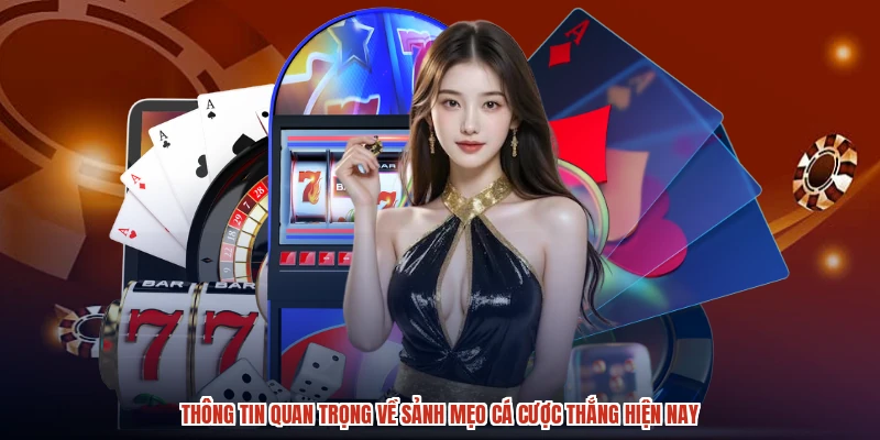 Thông tin quan trọng về sảnh mẹo cá cược thắng hiện nay