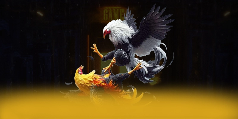 Giới thiệu [THUONG_HIEU] - Cổng game được tin dùng trên thị trường